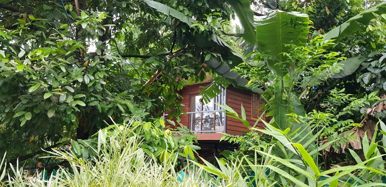 Wayanad Doubletree Villa Vythiri Esterno foto