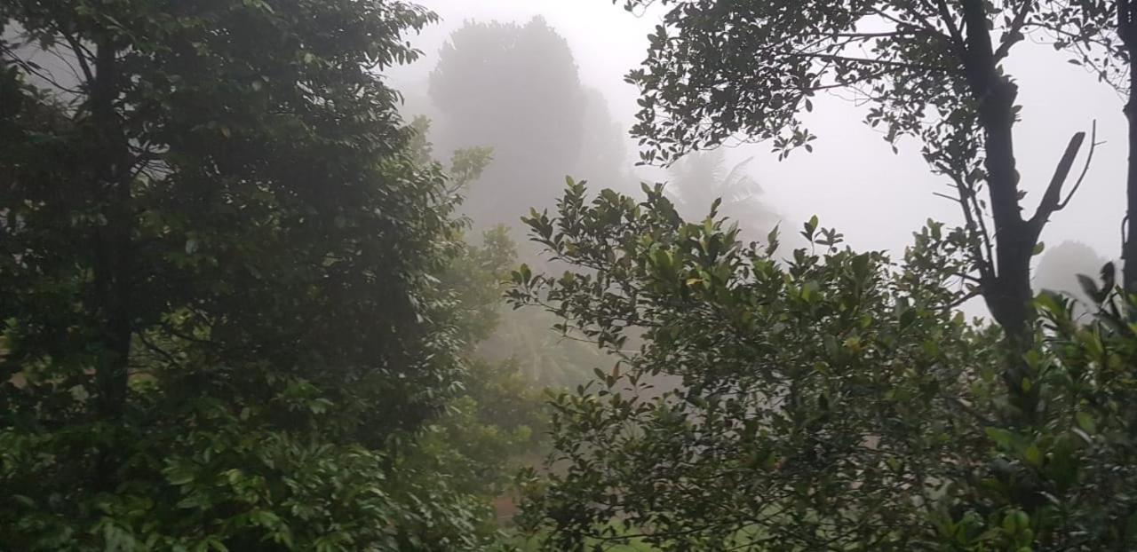 Wayanad Doubletree Villa Vythiri Esterno foto