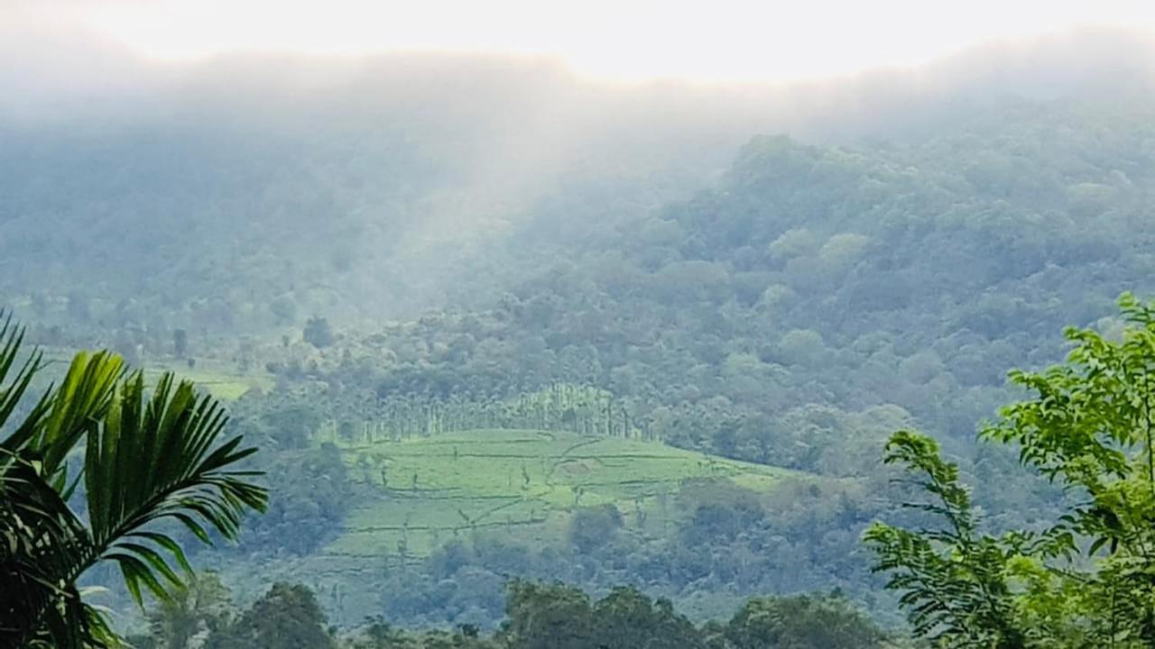 Wayanad Doubletree Villa Vythiri Esterno foto