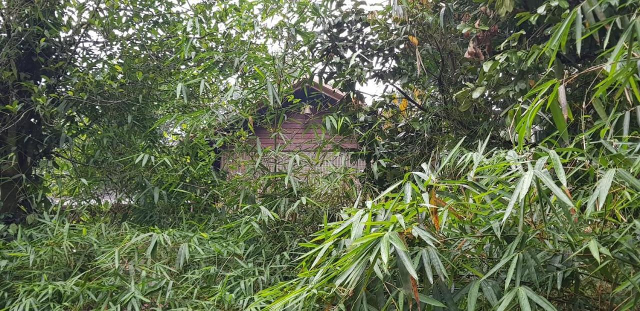 Wayanad Doubletree Villa Vythiri Esterno foto