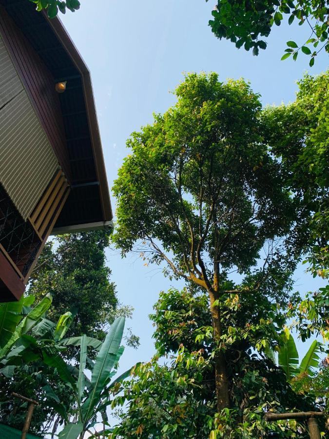 Wayanad Doubletree Villa Vythiri Esterno foto